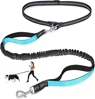 Hands-Free Bungee Dog Leash
