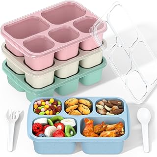 Bento Lunch Box 4-Pack
