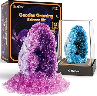 GobiDex Fast-Growing Geodes Kit