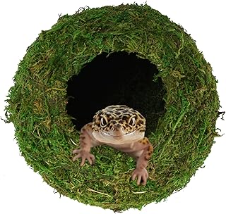 Green Mossy Reptile Cave