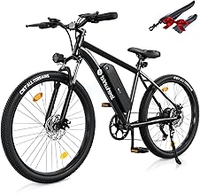 isinwheel 500W Adult Electric Bike