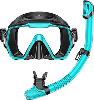 Anti-Fog Snorkel Set
