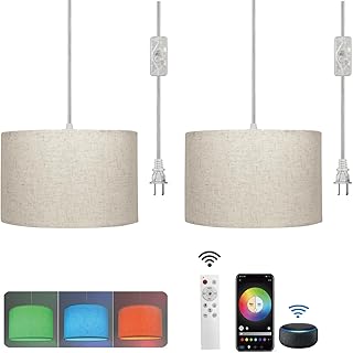 Remote Control Hanging Lamps