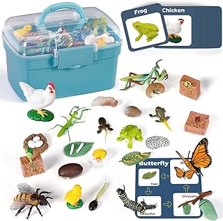 Life Cycle Learning Toys for Kids: Life Science Education Kits with Butterfly, Frog, Chicken, Mantis, Bee, Plants - 25 Pieces Animal Figurines Montessori Toys for Children Age 3 4 5 6 7 8+