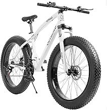 Outroad Fat Tire Mountain Bike
