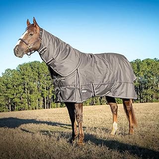 Jeffers Poplar Horse Turnout Blanket