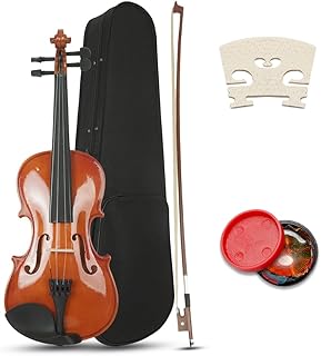 Acoustic Beginner Violin Set