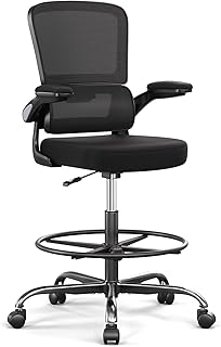 Ergonomic Chair with Footrest