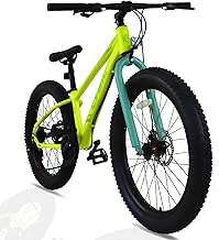 Fat Tire Mountain Bike 24 inch, 7 Speeds, with High Carbon Steel Frame, Double Disc Brake Fat Tire Bicycle