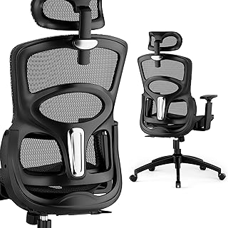 GABRYLLY High-Back Ergonomic Chair