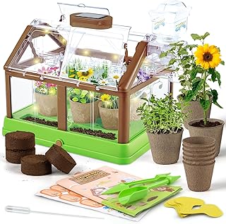 Solar Green Kids Plant Kit
