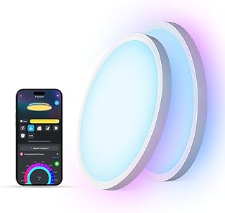 Govee Smart RGBIC LED Ceiling Light