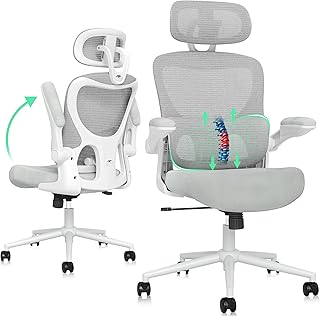 SUNNOW Ergonomic Mesh Office Chair