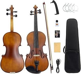 Yinfente 4/4 Acoustic Electric Violin