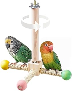 Interactive Spinning Bird Stand