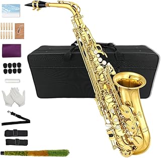 Yinfente Beginner's Alto Saxophone