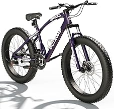 21-Speed Fat Tire Bike