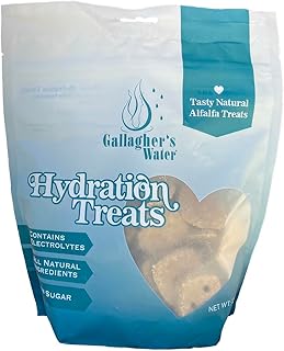 Hydration Treats for Horses. Crunchy Tasty Treats with Electrolytes. 12oz Bag
