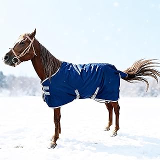 1200D Winter Horse Blanket