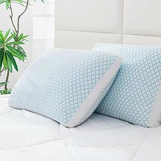 Queen Size Cooling Memory Foam Pillows