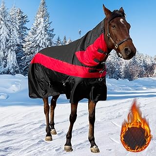1600D Waterproof Horse Turnout Blanket