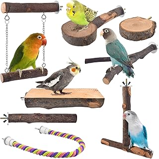Natural Wood Parrot Perch Set