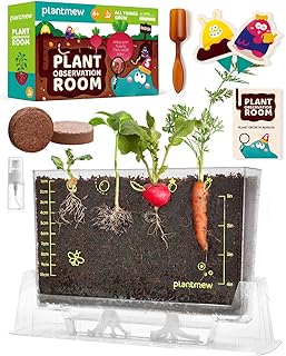 Root Viewer Educational Kit