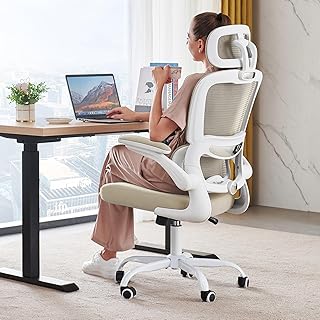 TRALT Ergonomic Mesh Office Chair
