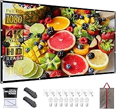 Portable 60 Inch Projector Screen