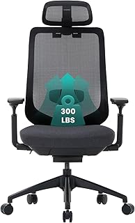 COLAMY Ergonomic Mesh Office Chair,High Back Computer Executive Desk Chair,Lumbar Support with Adjustable Headrest and 4D Arms, Slide Seat, Tilt Lock-Black