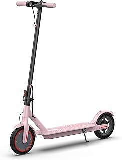 Long-Range Portable Electric Scooter
