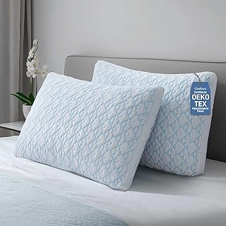 Memory Foam Bamboo Pillows