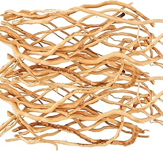 Natural Reptile Terrarium Driftwood