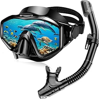 Snorkel Set Adults, Anti-Fog Panoramic Scuba Snorkelling Packages with Dry-Top Snorkel & Swimming Goggles for Diving, Swimming & Snorkeling