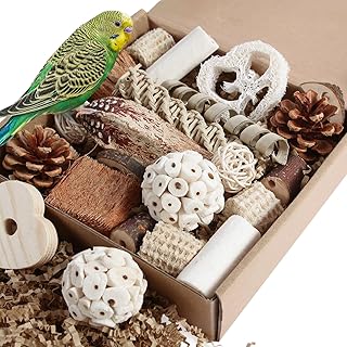 Kyouki Foraging Bird Toy Box