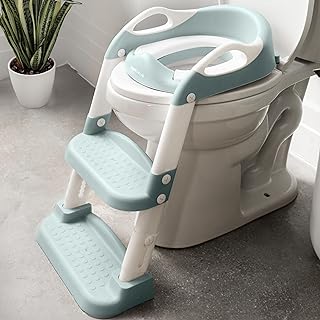 Jool Baby Adjustable Potty Seat