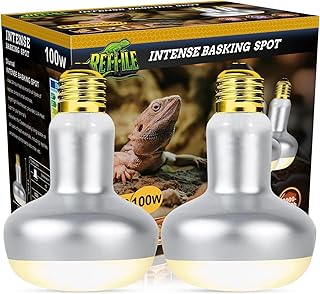 Intense Reptile Heat Lamp Pack
