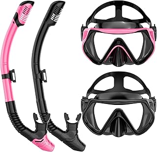 Adult Dry-Top Snorkeling Set