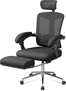 DEVAISE Ergonomic Reclining Office Chair