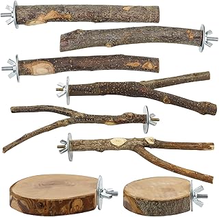 Natural Wood Bird Perch Set