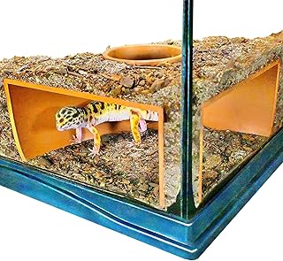 Reptile Corner Cave Hideout