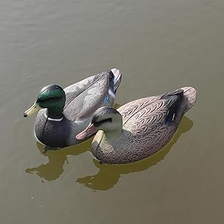 Realistic Mallard Duck Decoys