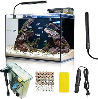 10 Gallon Aquarium Set Glass Fish Tank, with Heater Water Pump Cleaning System Filter with Media Bright Light, Leak-Proof Clear Rimless Betta Tropical Freshwater Fish