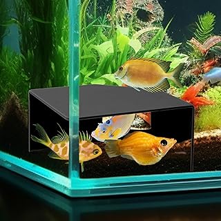 Aquarium Corner Cave Hideout for Fish, Shrimp, Axolotl & Reptiles &ndash; Natural Fish Tank Decor with Viewing Window, Terrarium Cave Hide for Betta, Plecos, Cichlids, Snakes &ndash; Safe Durable Accessories