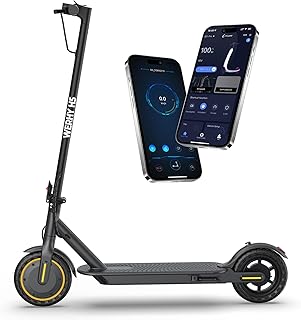 WERHY Foldable Electric Scooter