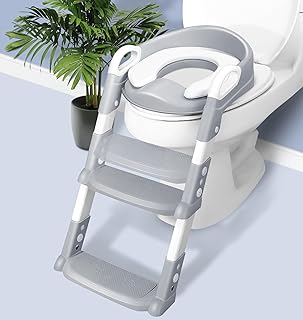Step Stool Potty Seat