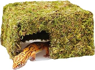 Leopard Gecko Hideout Cave