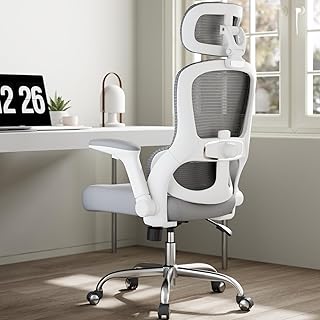 Ergonomic High-Back Mesh Office Chair