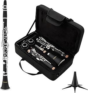 Beginner's B Flat Clarinet Kit