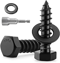 Stainless Steel Lag Screw Set